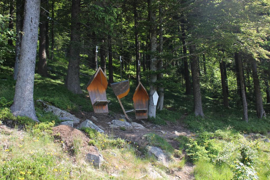 Hotel Pension Glöcklehof Todtnauberg Zimmer foto