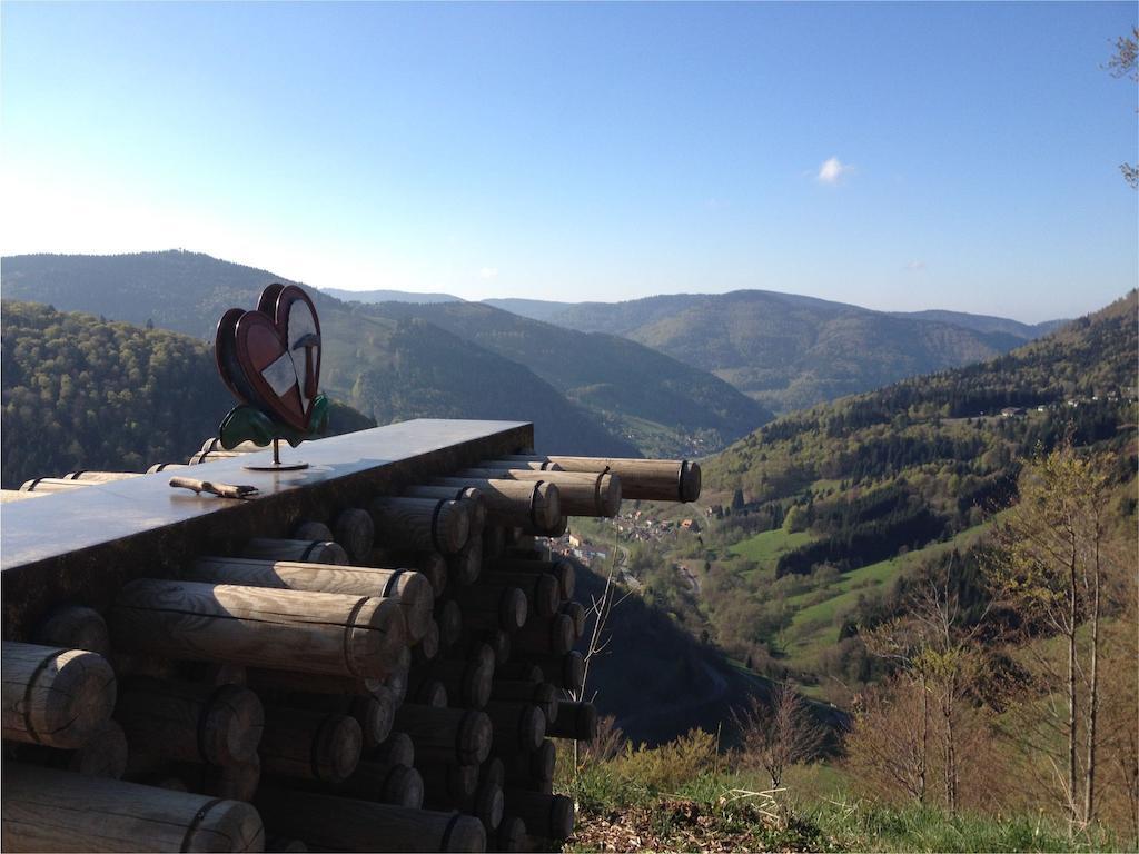 Hotel Pension Glöcklehof Todtnauberg Zimmer foto